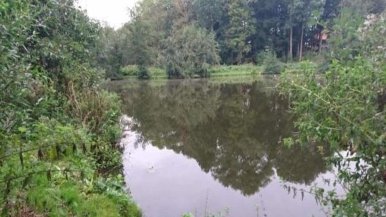 AreaSummer20KM AreaSummer20KM